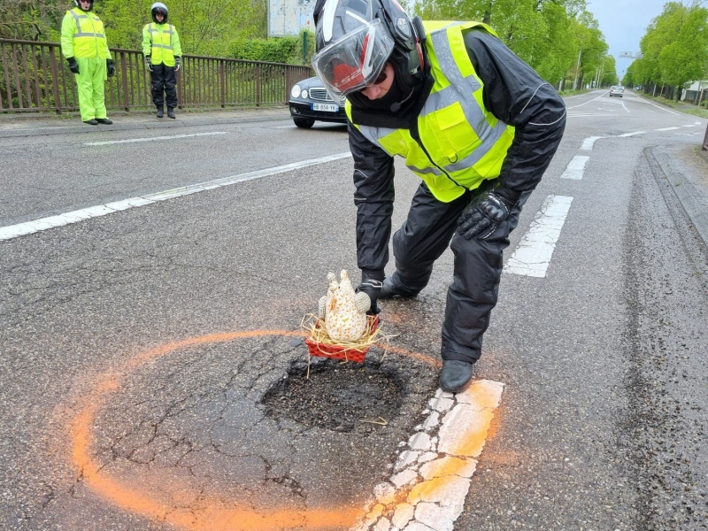 dimanche-de-paques-la-poule-a-visite-plusieurs-nids